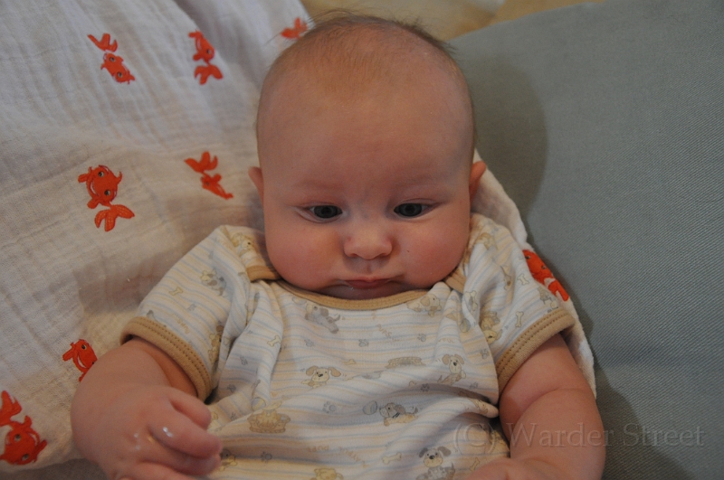 William's Eleventh Week 35.jpg